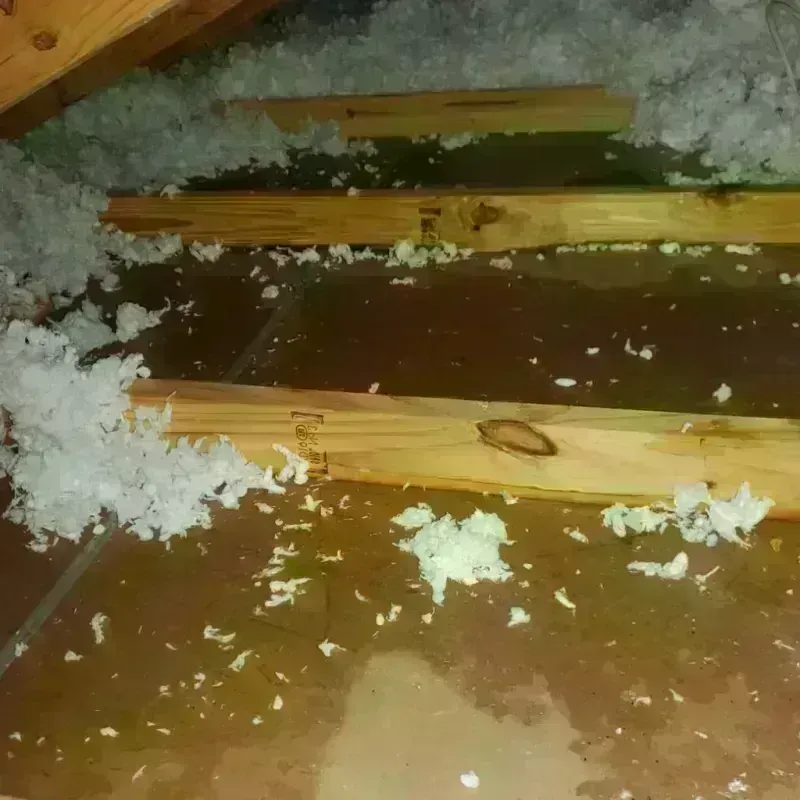 Attic Water Damage in Long Beach, MS