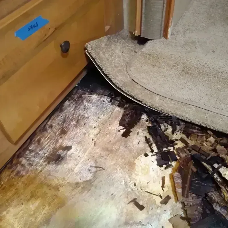 Wood Floor Water Damage in Long Beach, MS